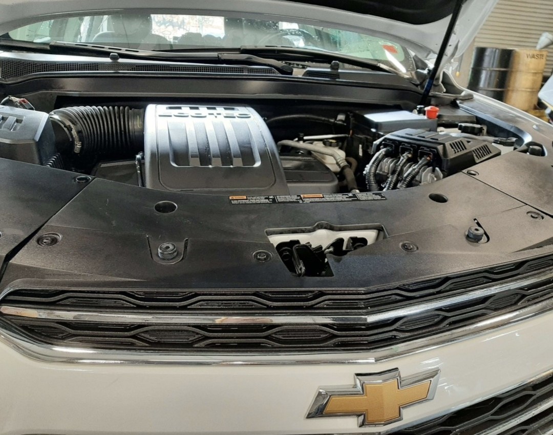 Engine bay after detailing